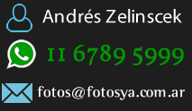 Contactos